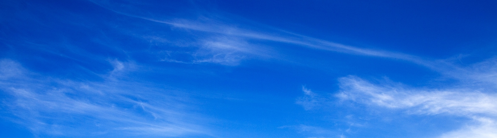 bg-banner